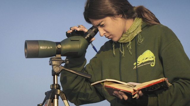 Подзорная труба Nikon: лучшие модели 2026 | DGL.RU1 Подзорная труба Nikon: лучшие модели 2026 | DGL.RU
