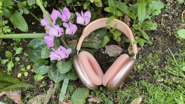 Обзор беспроводных наушников Apple AirPods Max 2 (2) Обзор Apple AirPods Max 2: стоит ли покупать? | DGL.RU