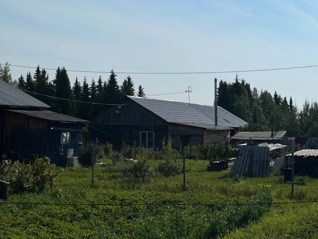 Укладка плитки ушла в прошлое: как за сутки оформить элегантную дорожку на участке с минимальными затратами