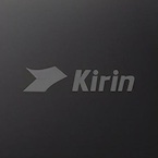 Kirin 9000S