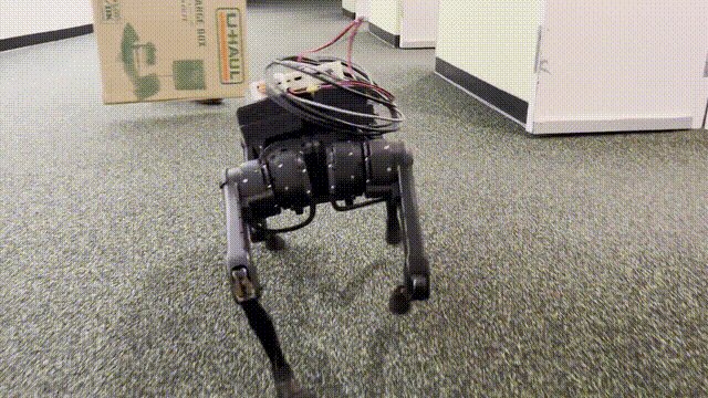 MacBook на четырёх лапах: робот-собака научилась преодолевать препятствия с помощью чипа Apple M1 и NVM