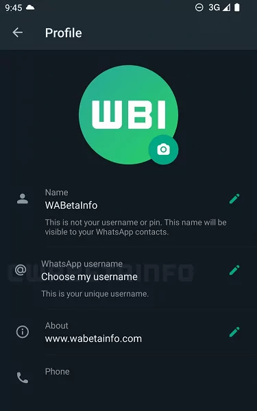 По стопам Telegram: в WhatsApp могут появиться псевдонимы